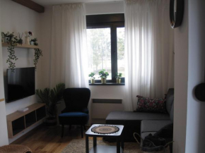 Andric34 Zlatibor